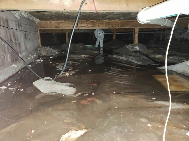 Flood Damage Cleanup in Wilmington, NC